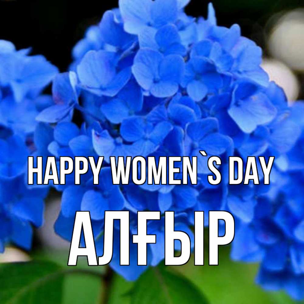 Greetings card с именем, Алғыр happy women`s day синие цветы Greetings with text for free download 